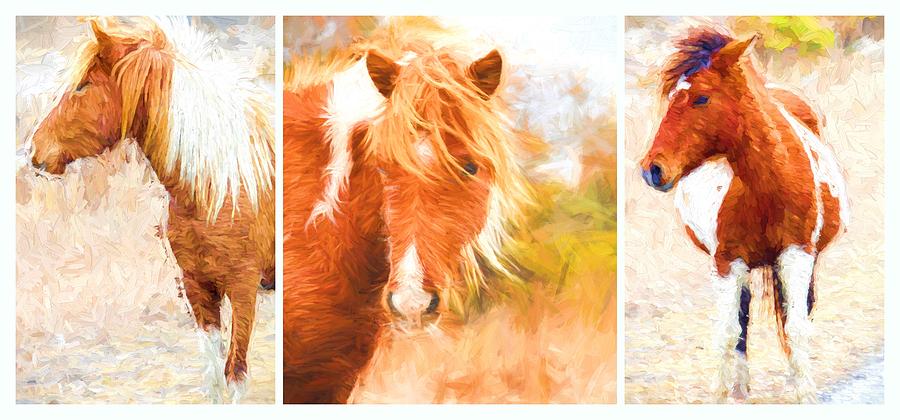 Ponies Photograph - Wild Ponies Triptych by Alice Gipson Ponies Photograph - Wild Ponies Triptych by Alice Gipson
