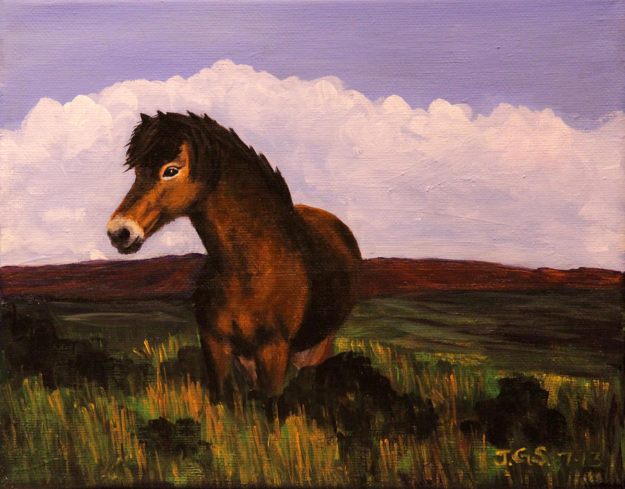 Wild Pony Painting by Janet Greer Sammons