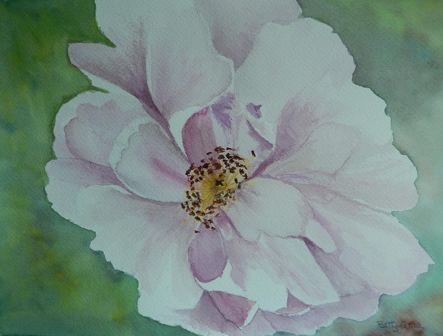 Wild Rose Painting by Betty-Anne McDonald