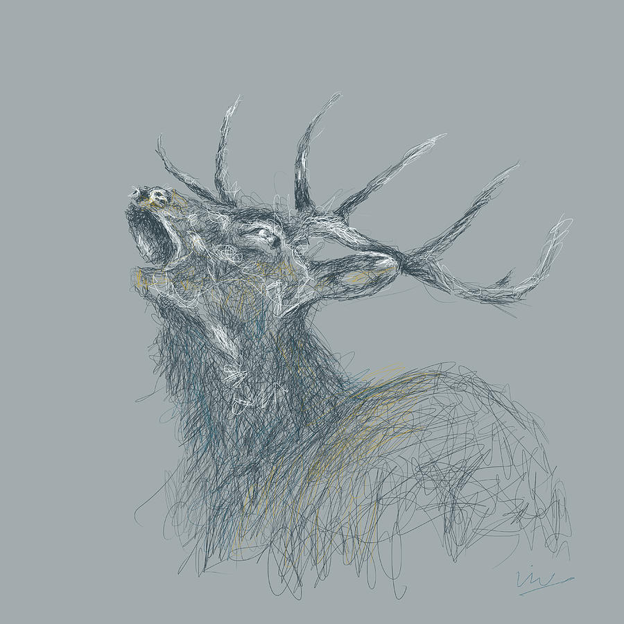 Wild Stag Drawing by Viv Griffiths