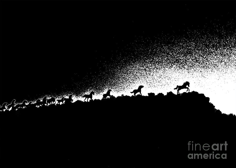 Wild Stallions Silhouette Photograph by Chuck Flewelling