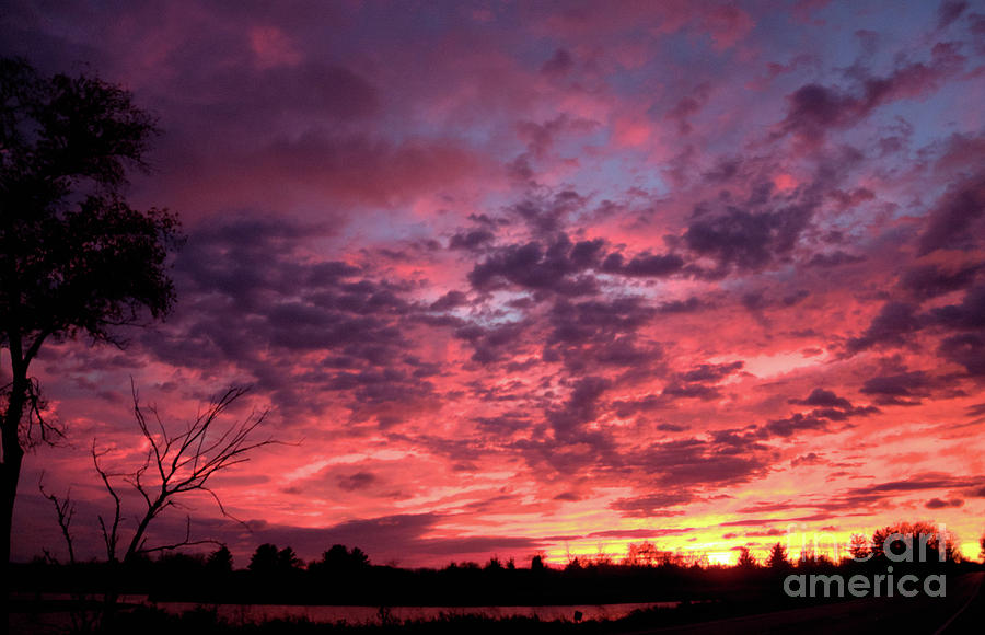 Wild Sunset Photograph by Deborah Smolinske