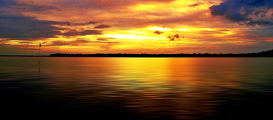 Sunset Photograph - Wild Sunset by Nancy Jenks