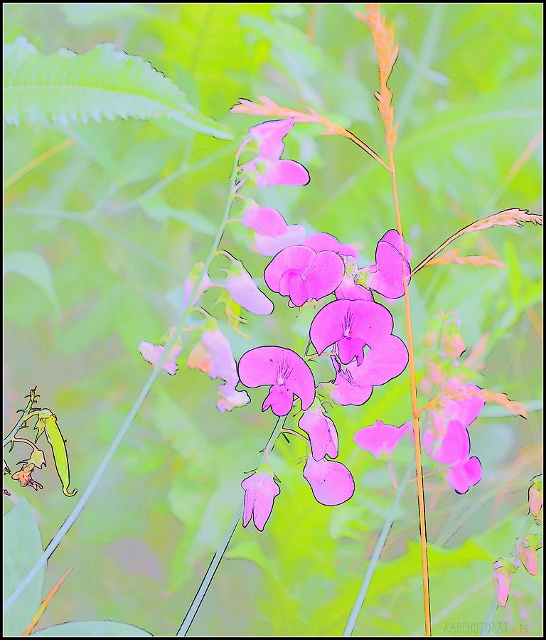 Wild Sweetpeas Abstract Photograph by Kathy Barney