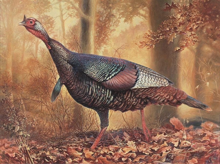 Wild Turkey Painting