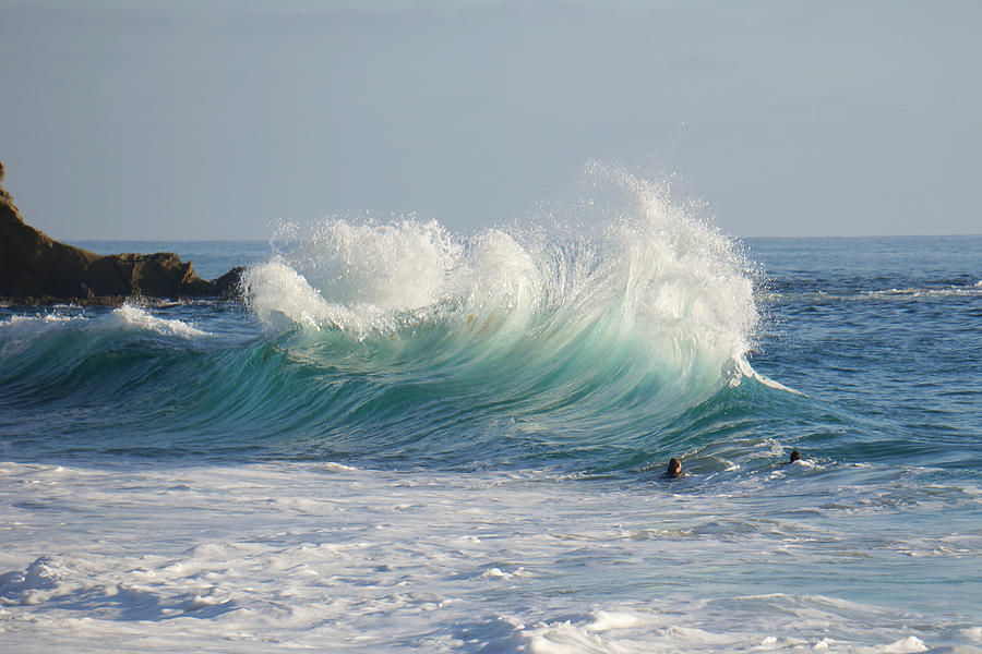 wild waves