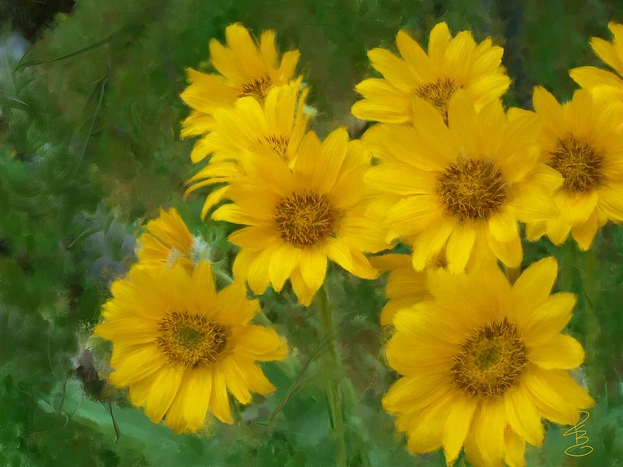 Daisy Digital Art - Wild yellow flowers by Debra Baldwin