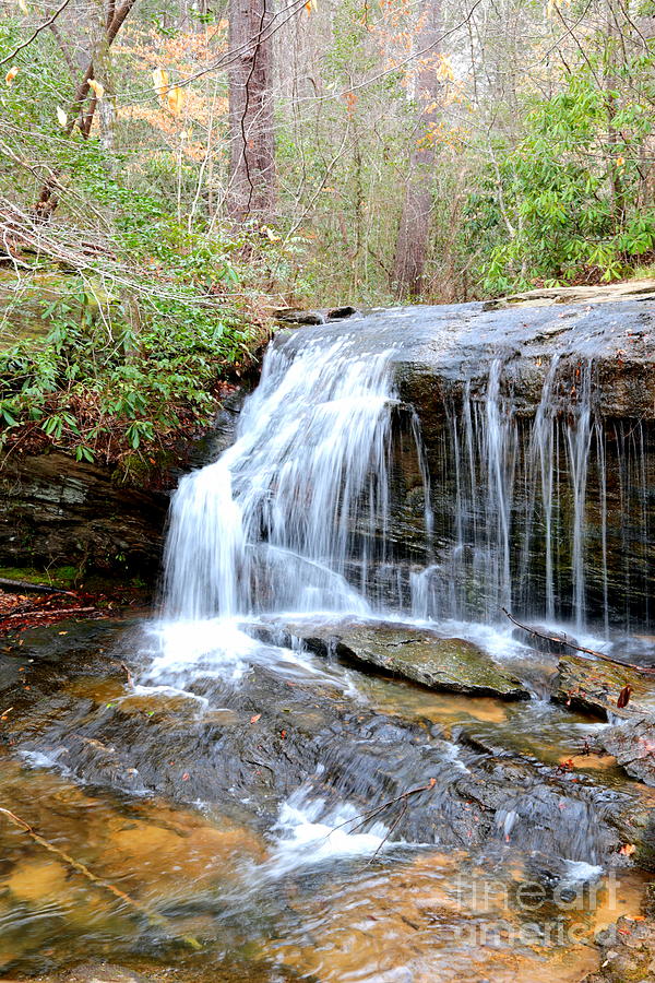 Wildcat Branch Falls Photograph by Carol Groenen