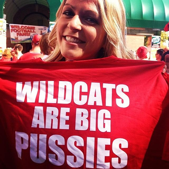 Wildcats Are Big Pussies #gobadgers Photograph by Jessie Biedron