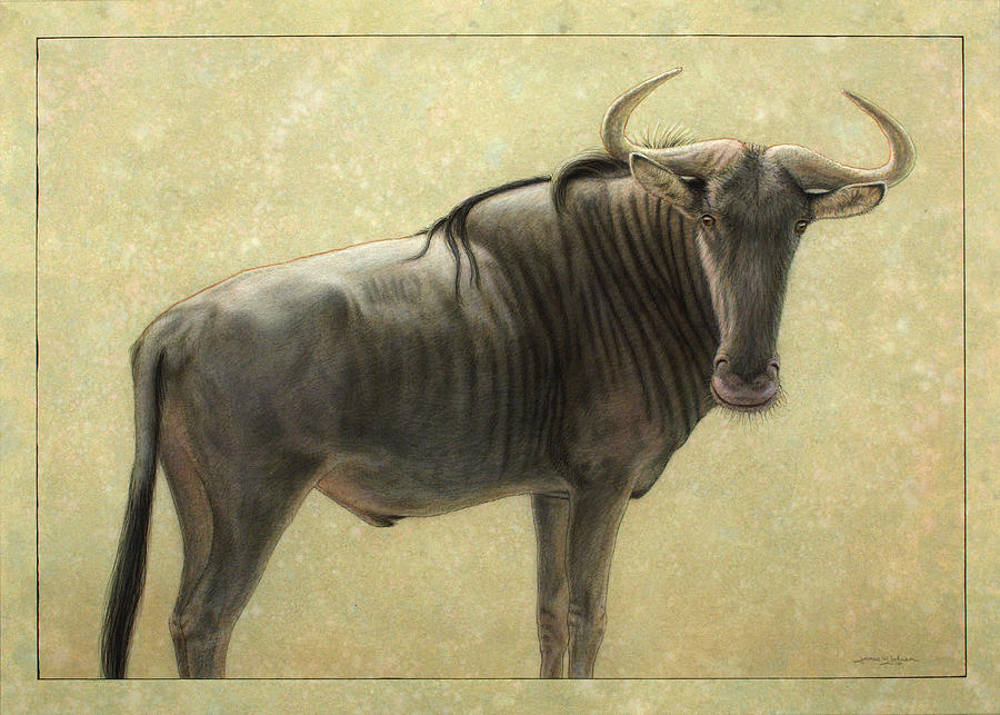 Wildebeest Painting - Wildebeest by James W Johnson.