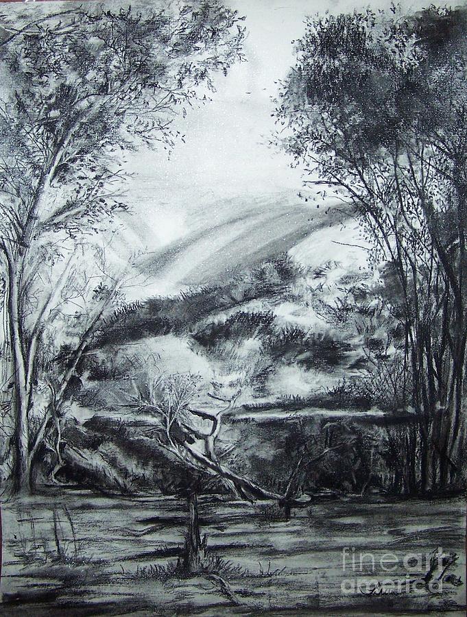 Landscape Drawing - Wilderness by Laneea Tolley