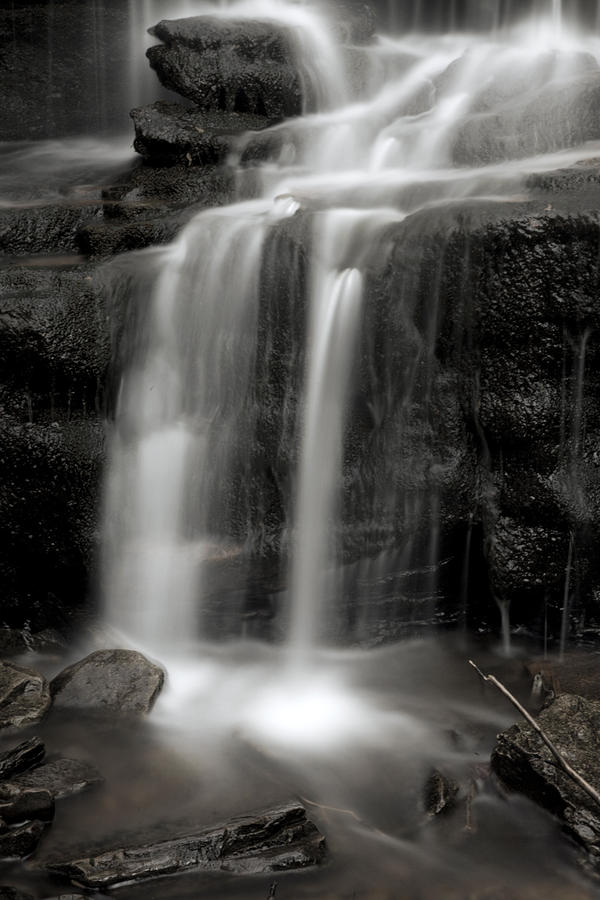 Wilderness Waterfall Photograph by Lone Palm Studio