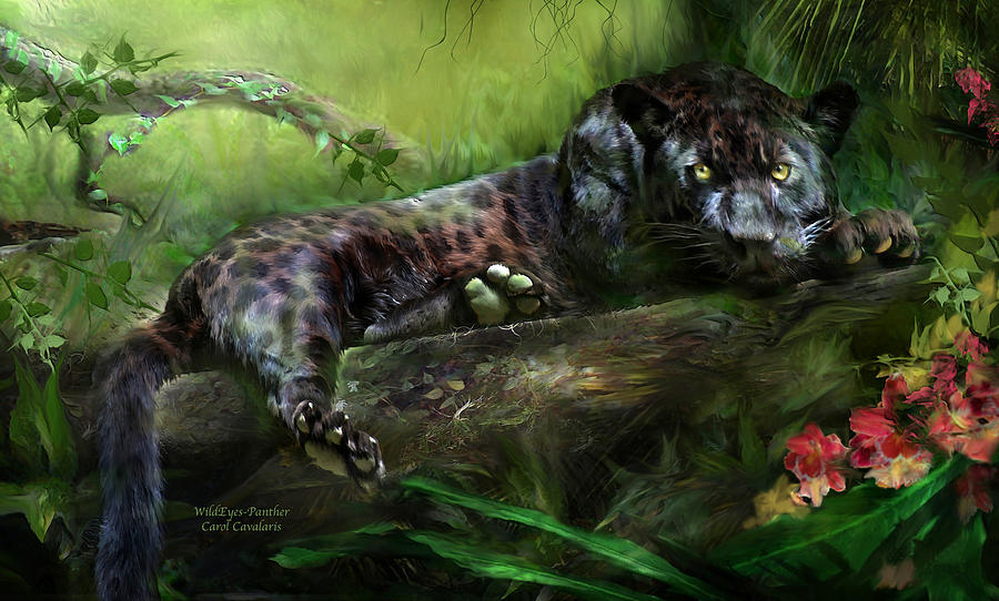Jungle Mixed Media - WildEyes - Panther by Carol Cavalaris