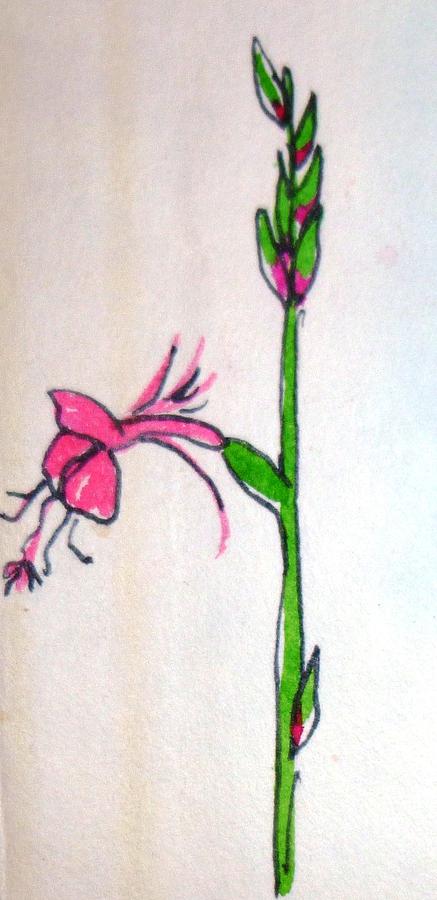 Wildflower 3  Drawing by Erika Jean Chamberlin