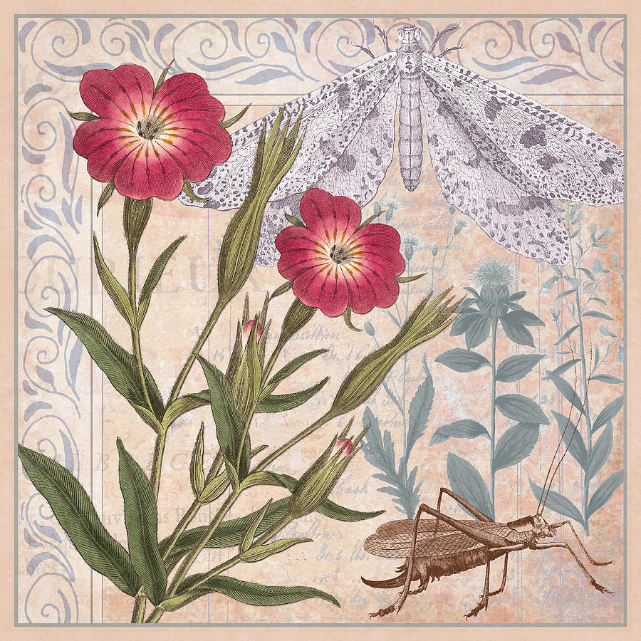 Vintage Digital Art - Wildflower Collage by Antique Images