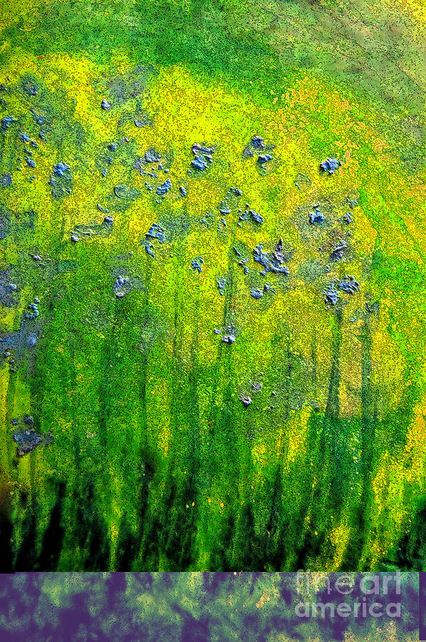 Wildflower Impression by jrr Painting by First Star Art