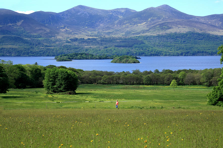 Wildflower Meadow - Killarney National Park - Ireland Photograph by ...