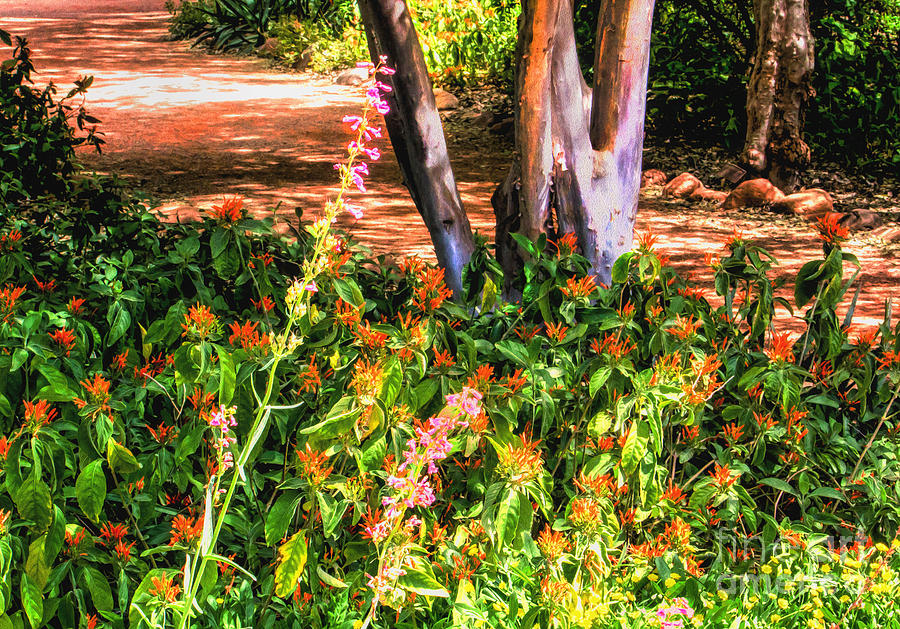 Wildflower Path through the Woods Digital Art by Georgianne Giese
