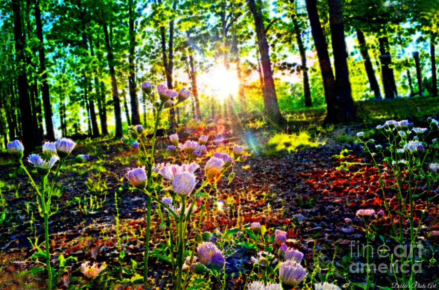 Wildflower Sunset Photoart Photograph by Debbie Portwood