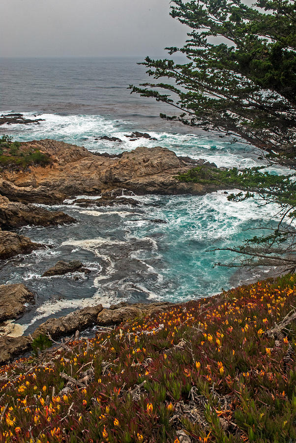 Wildflowers And Emerald Water Along The Pacific Coast Highway Photograph by Willie Harper