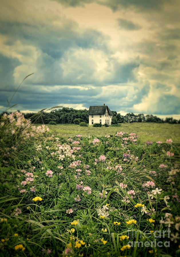 Wildflowers and Old House Photograph by Jill Battaglia