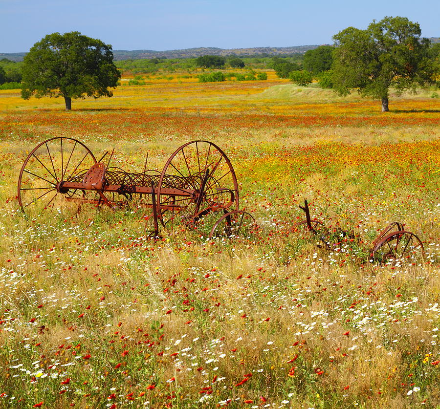 Ranch and Wildflowers and Old Implement 2 img stitch Photograph by Andrew McInnes