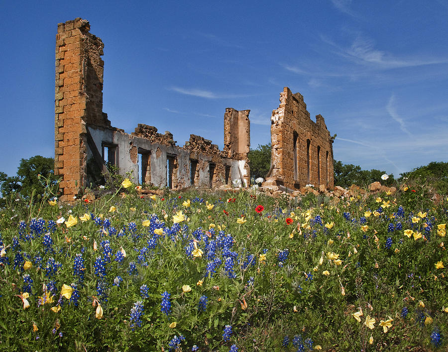 Wildflowers and Ruins Photograph by David and Carol Kelly