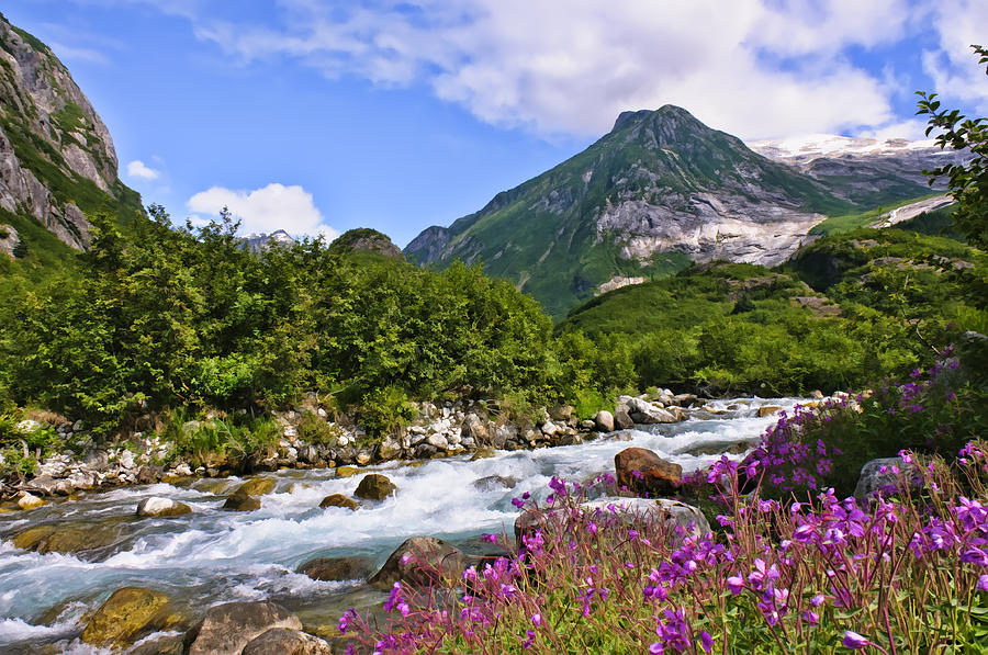 Wildflowers and Stream at Shakes Glacier Photograph by Betty Eich