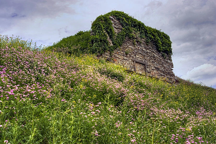 Landmark Photograph - Wildflowers and Vines Surround the Loyalsock Stonework Lime Kiln by Gene Walls