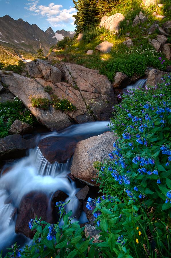 Wildflowers And Waterfalls In The Indian Peaks Photograph by Mike ...