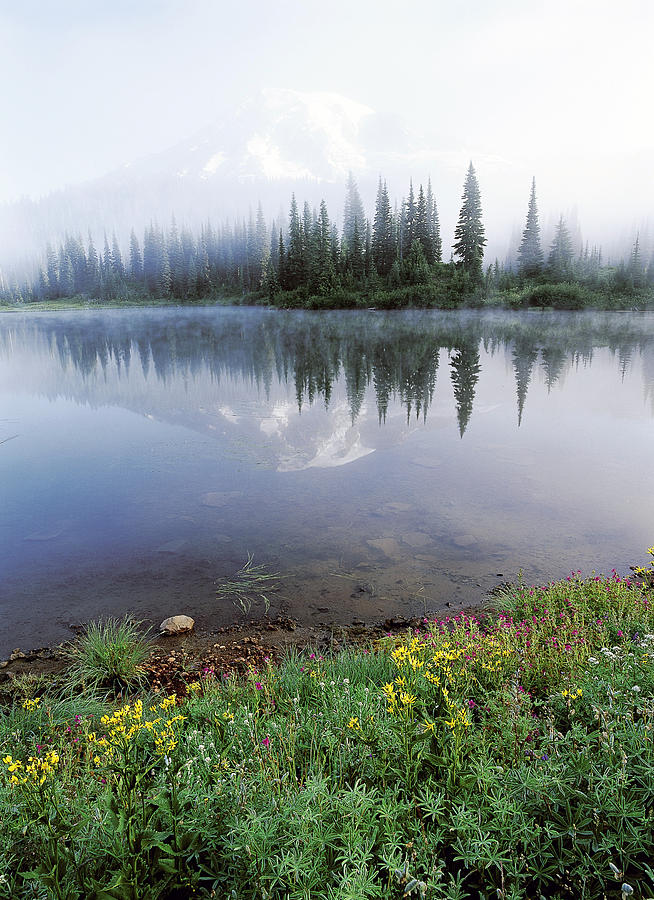 Wildflowers At Reflection Lake Photograph by F. Stuart Westmorland
