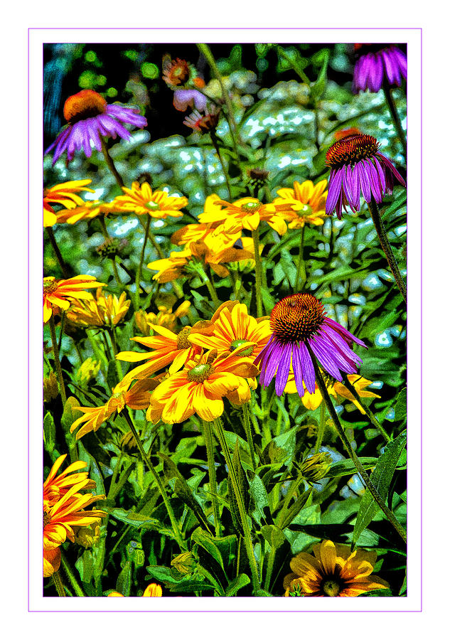 Wildflowers Photograph by Monroe Payne