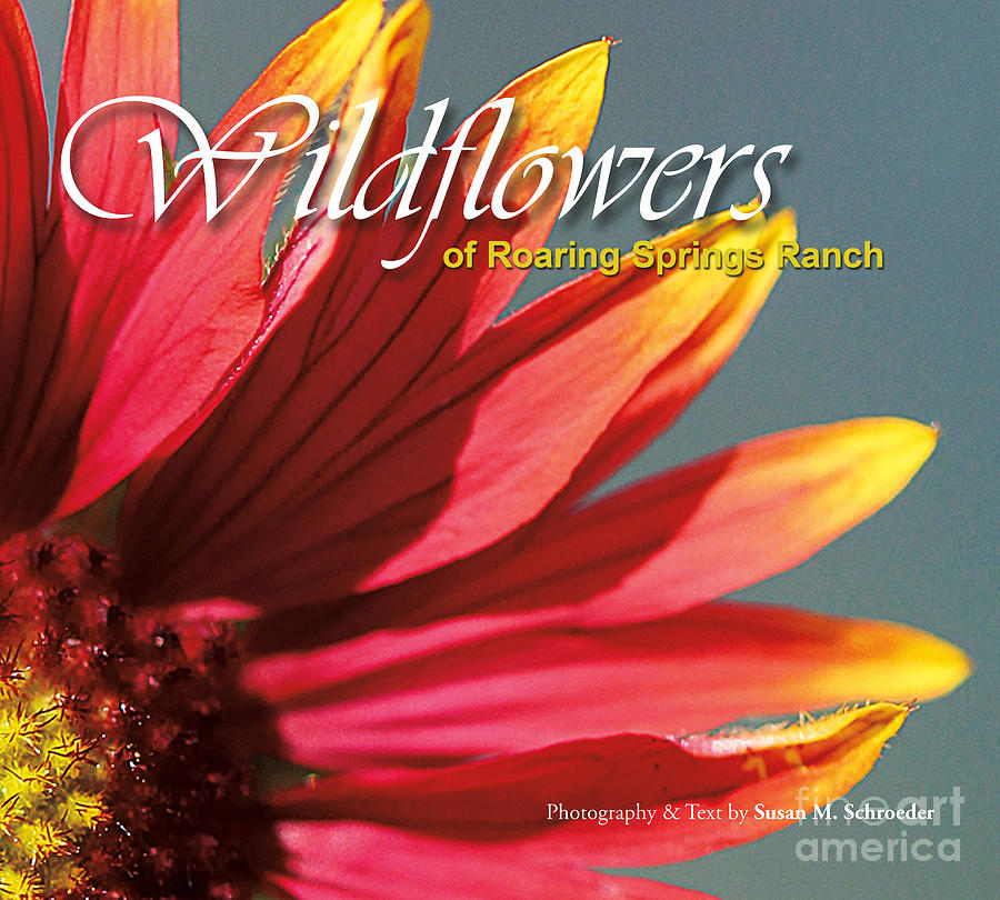 Wildflowers of Roaring Springs Ranch by Susan Schroeder Wildflowers of Roaring Springs Ranch by Susan Schroeder