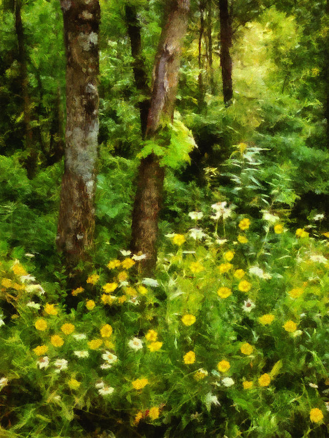 Flower Digital Art - Wildflowers Two by Ann Powell