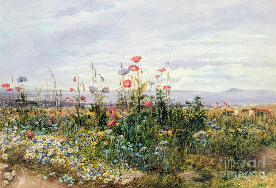 Water Color Painting - Wildflowers with a View of Dublin Dunleary by A Nicholl