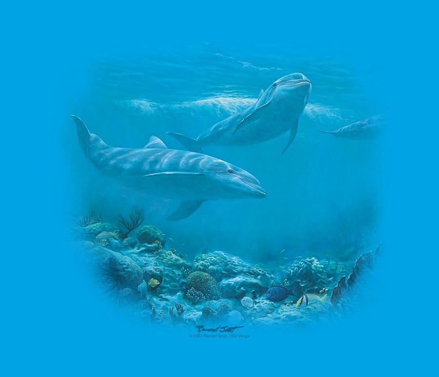 Wildlife Digital Art - Wildlife - Bottlenosed Dolphins by Brand A