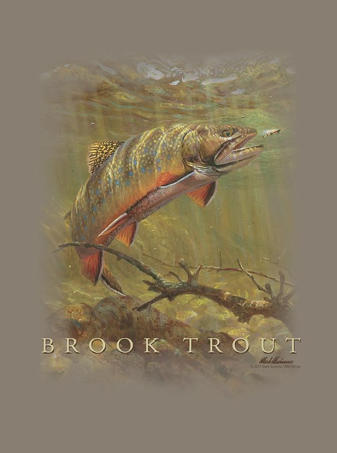 Wildlife Photograph - Wildlife - Brook Trout by Brand A