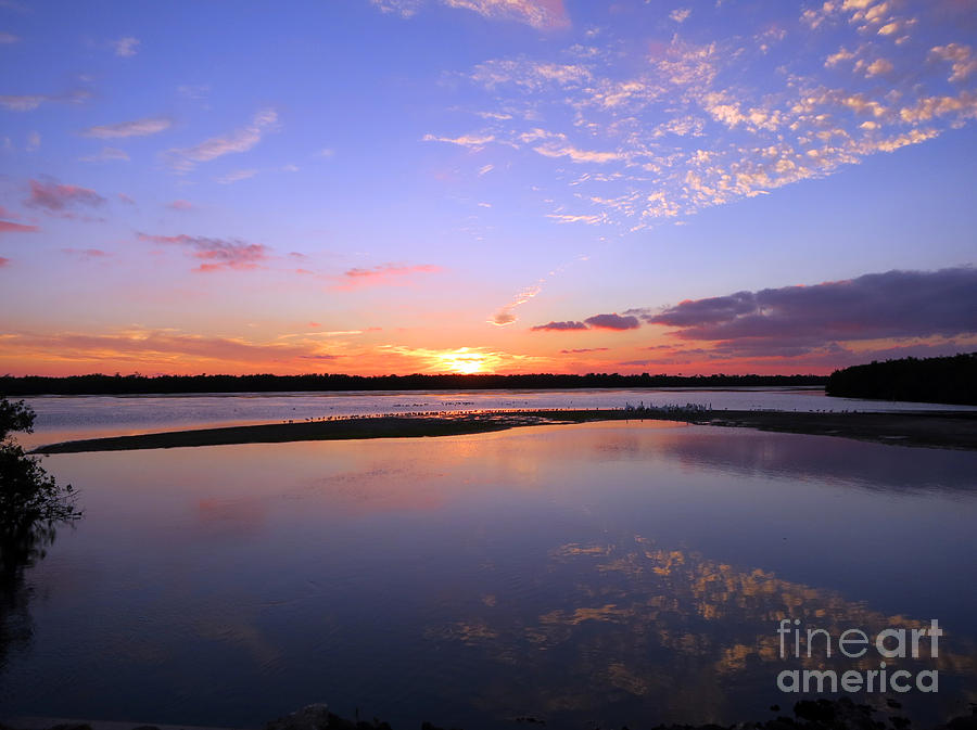 Sunset Photograph - Wildlife Drive Sunset by Patricia Januszkiewicz