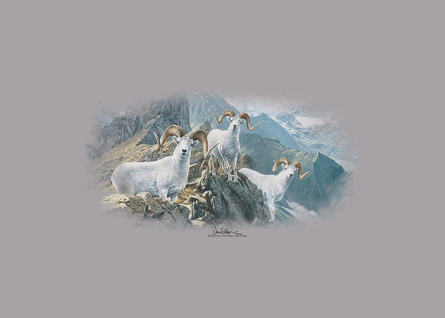Wildlife Digital Art - Wildlife - High Trails Dall Sheep by Brand A