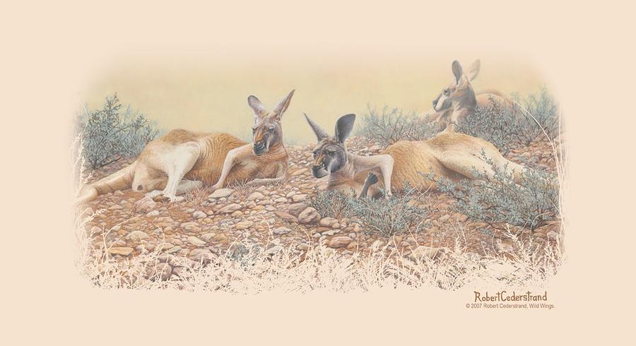 Wildlife Digital Art - Wildlife - Laid Back In The Outback by Brand A