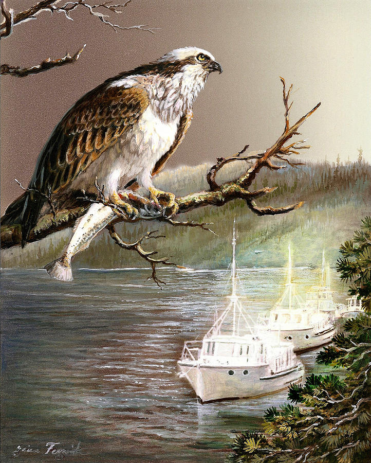 Wildlife Ospey Fishing Competition Painting by Regina Femrite