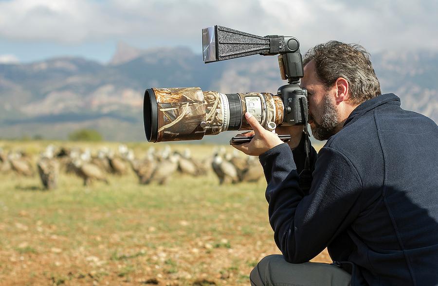 Vulture Photograph - Wildlife Photographer Nicolas Reusens by Nicolas Reusens