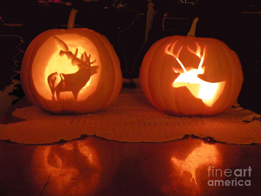 Halloween Photograph - Wildlife Halloween Pumpkin Carving by Dale Jackson
