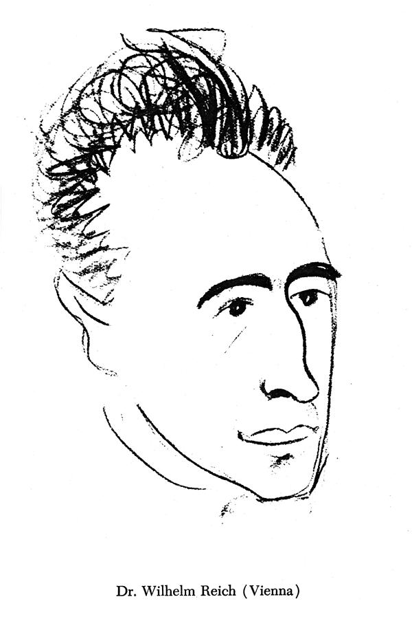 Wilhelm Reich Drawing by Olga Szekely Kovacs