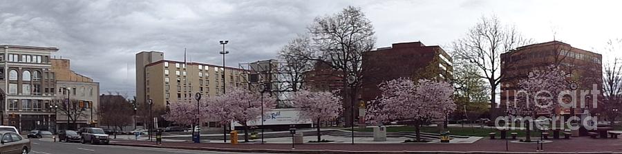 Wilkes-Barre in bloom Photograph by Christina Verdgeline