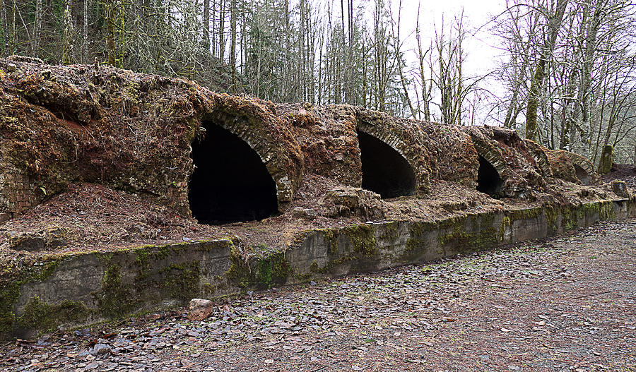 Ovens Photograph - Wilkeson coke Ovens by Ron Roberts