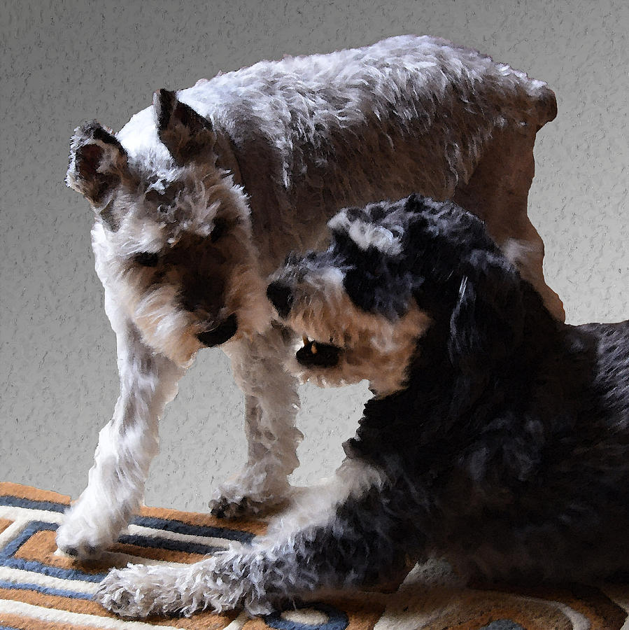 Dog Photograph - Will and Atticus by Ken Stampfer