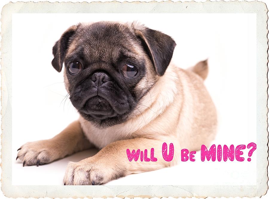 Will U be mine? Photograph by Edward Fielding