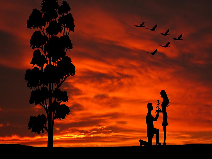 Will You Marry Me Sunset Silhouette Series Photograph by David Dehner