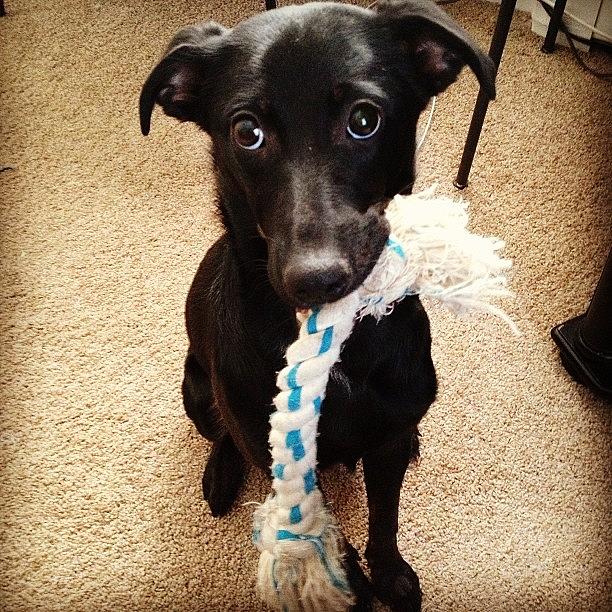 Rope Photograph - Will You Play With Me :)? #pepsi by Kristine Dunn
